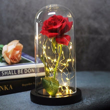 Load image into Gallery viewer, Beauty And Beast Rose In Flask Led Rose Flower