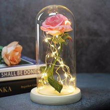Load image into Gallery viewer, Beauty And Beast Rose In Flask Led Rose Flower