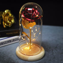 Load image into Gallery viewer, Beauty And Beast Rose In Flask Led Rose Flower