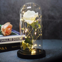 Load image into Gallery viewer, Beauty And Beast Rose In Flask Led Rose Flower