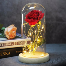 Load image into Gallery viewer, Beauty And Beast Rose In Flask Led Rose Flower
