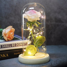 Load image into Gallery viewer, Beauty And Beast Rose In Flask Led Rose Flower
