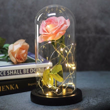 Load image into Gallery viewer, Beauty And Beast Rose In Flask Led Rose Flower
