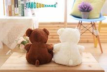 Load image into Gallery viewer, 25cm Teddy Bear
