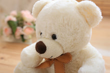 Load image into Gallery viewer, 25cm Teddy Bear
