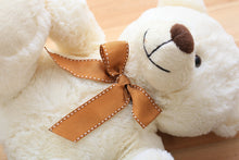 Load image into Gallery viewer, 25cm Teddy Bear
