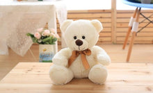 Load image into Gallery viewer, 25cm Teddy Bear
