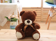 Load image into Gallery viewer, 25cm Teddy Bear
